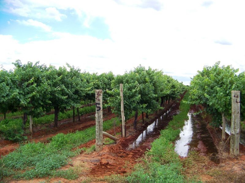 27 Boden Road, Birdwoodton VIC 3505