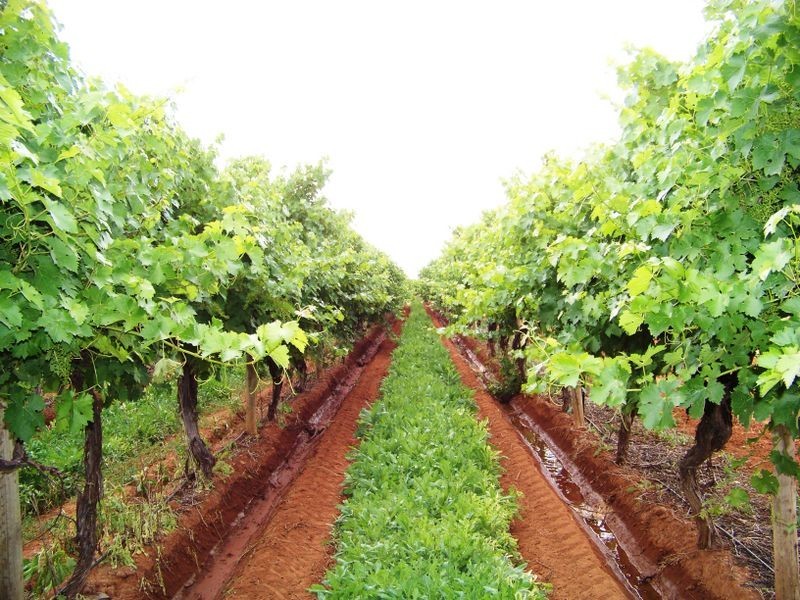 27 Boden Road, Birdwoodton VIC 3505