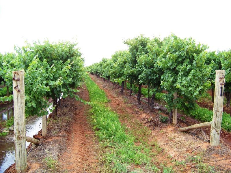 27 Boden Road, Birdwoodton VIC 3505