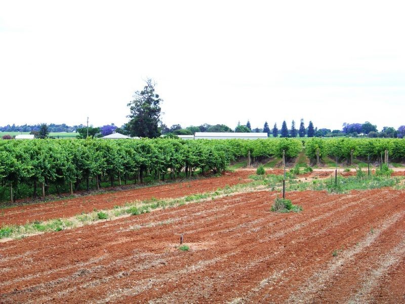 27 Boden Road, Birdwoodton VIC 3505