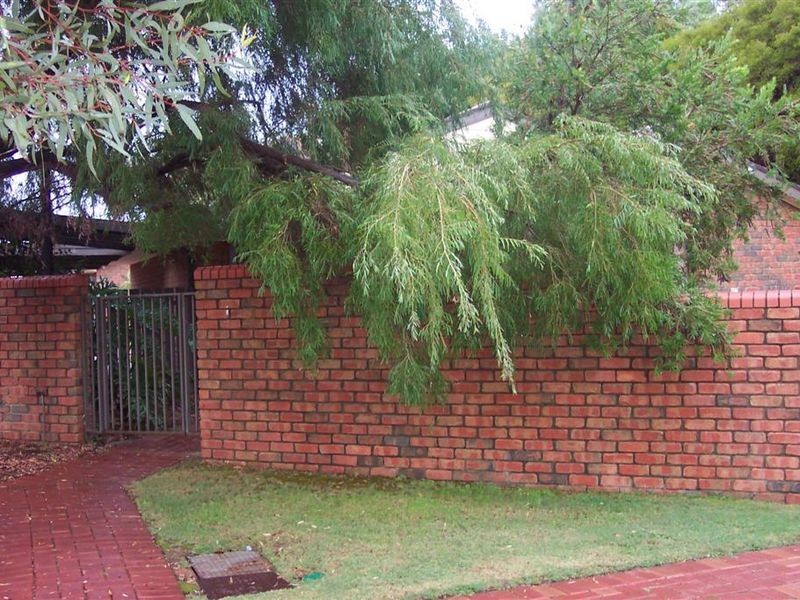 1,444 Eleventh Street, Mildura VIC 3500