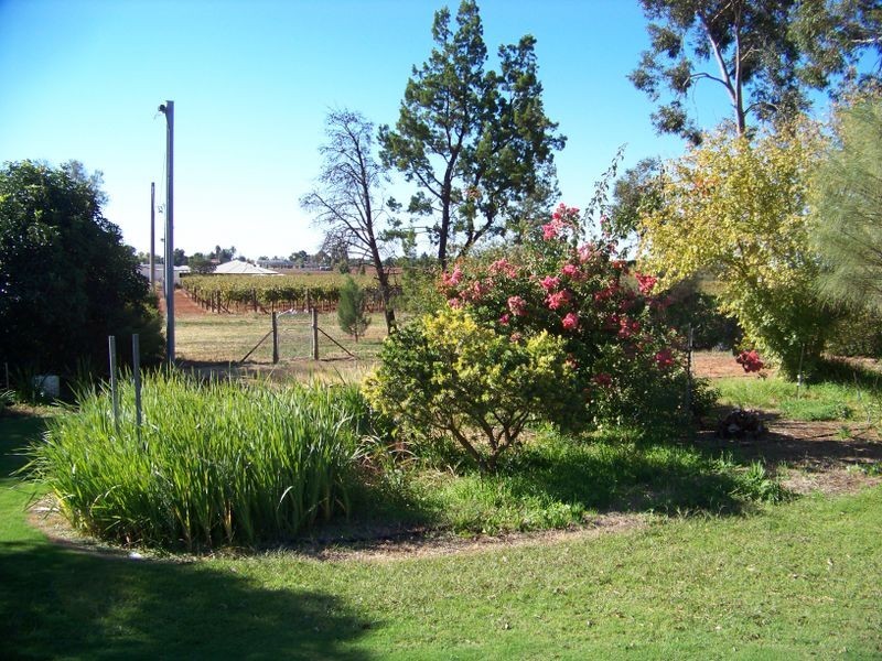 21 Benson Dve, Red Cliffs VIC 3496