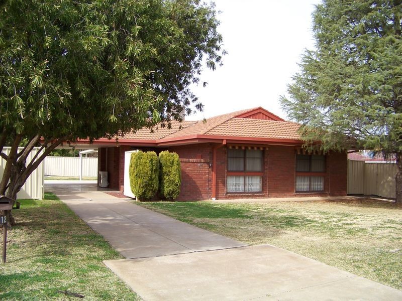 12 Cameron St, Merbein VIC 3505