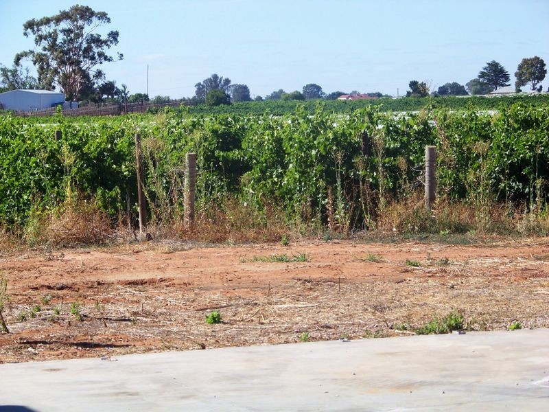 578 Coorong Ave, Red Cliffs VIC 3496