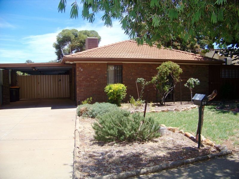 20 Elouera Drive, Irymple VIC 3498