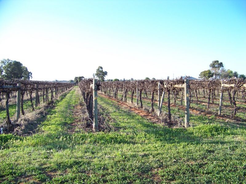 107 Mena Road Birdwoodton, Mildura VIC 3500