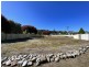 70 Main Street, St Marys TAS 7215