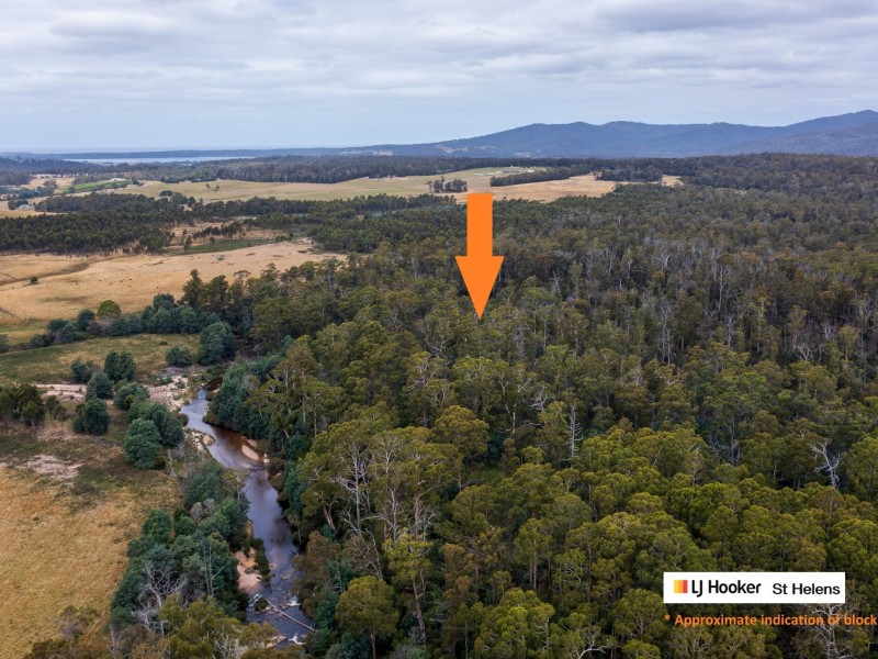 PID 679270 Tasman Hwy, St Helens TAS 7216