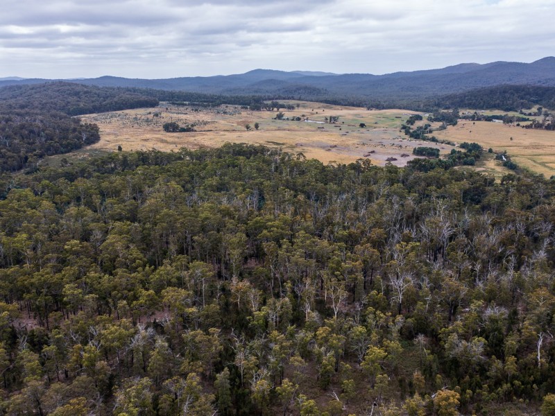 PID 679270 Tasman Hwy, St Helens TAS 7216