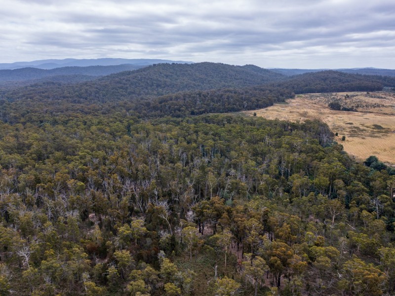 PID 679270 Tasman Hwy, St Helens TAS 7216