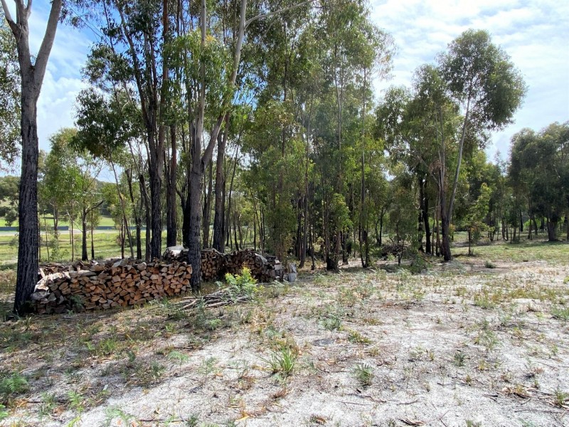 23320 Tasman Highway, Scamander TAS 7215