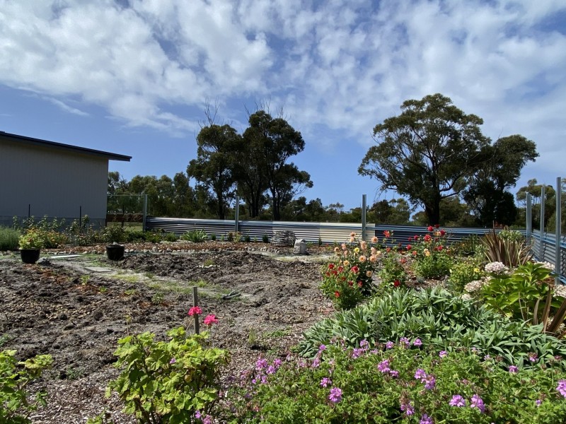 23320 Tasman Highway, Scamander TAS 7215