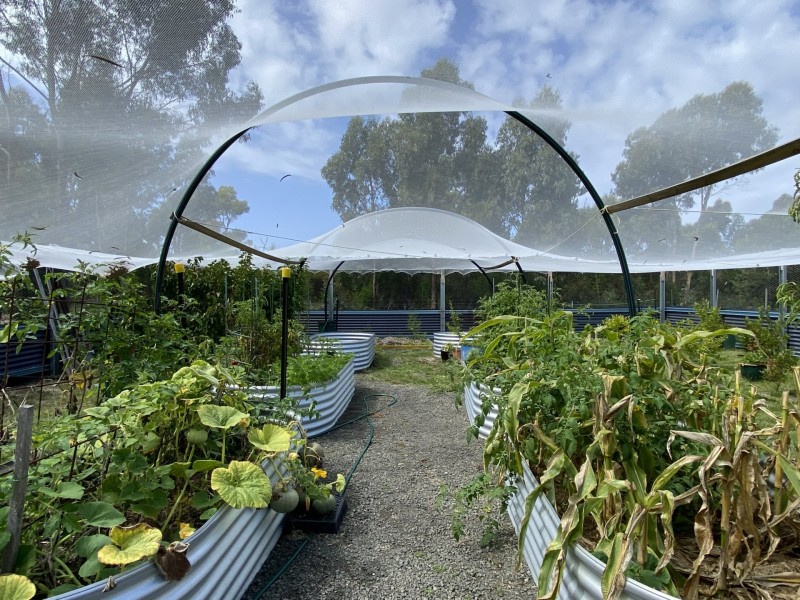 23320 Tasman Highway, Scamander TAS 7215