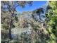41 Lawry Heights, St Helens TAS 7216
