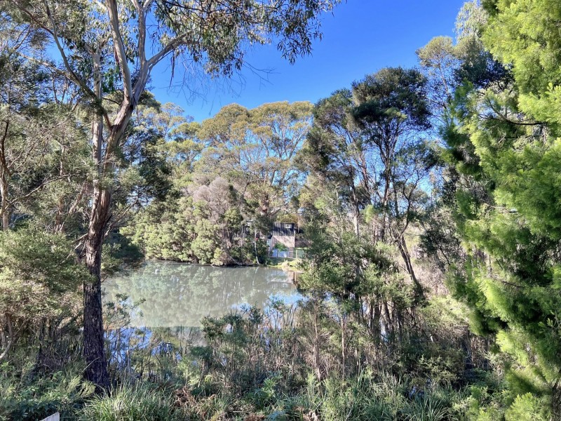 41 Lawry Heights, St Helens TAS 7216