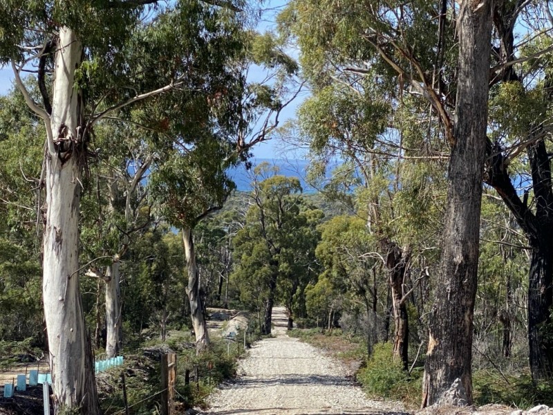 26754/1 Tasman Highway, Scamander TAS 7215