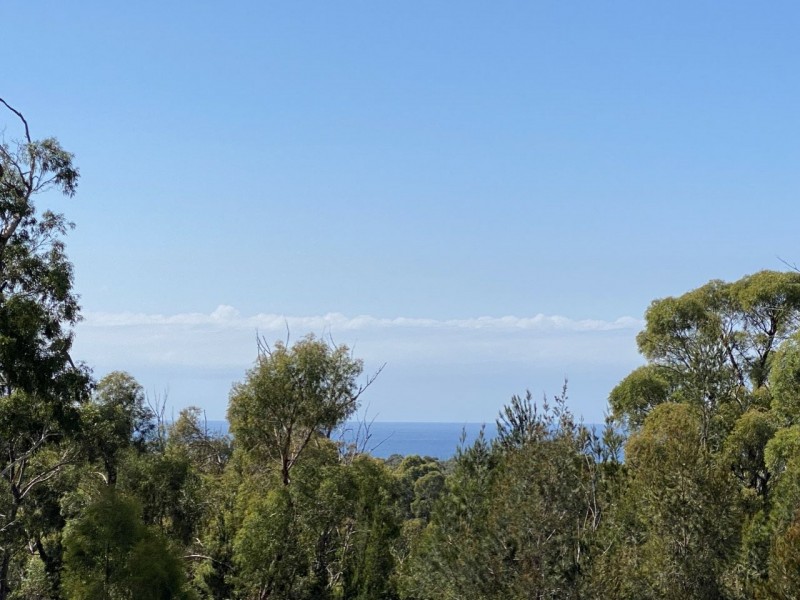 26754/1 Tasman Highway, Scamander TAS 7215