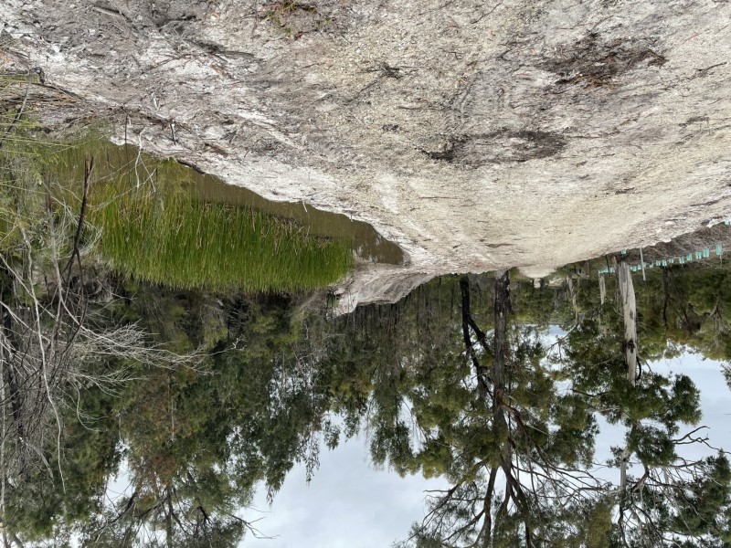 26754/1 Tasman Highway, Scamander TAS 7215