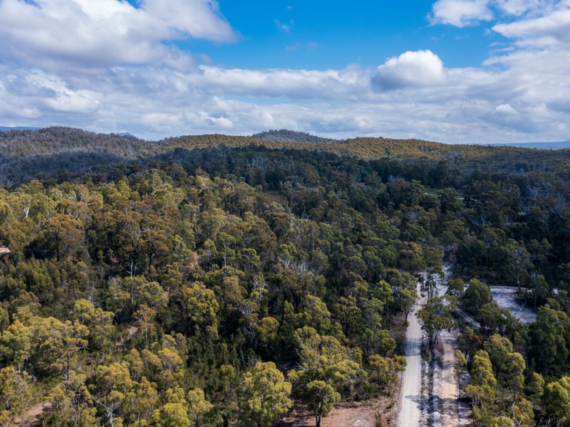 26754/1 Tasman Highway, Scamander TAS 7215