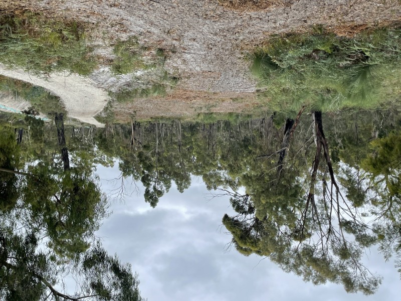 26754/1 Tasman Highway, Scamander TAS 7215