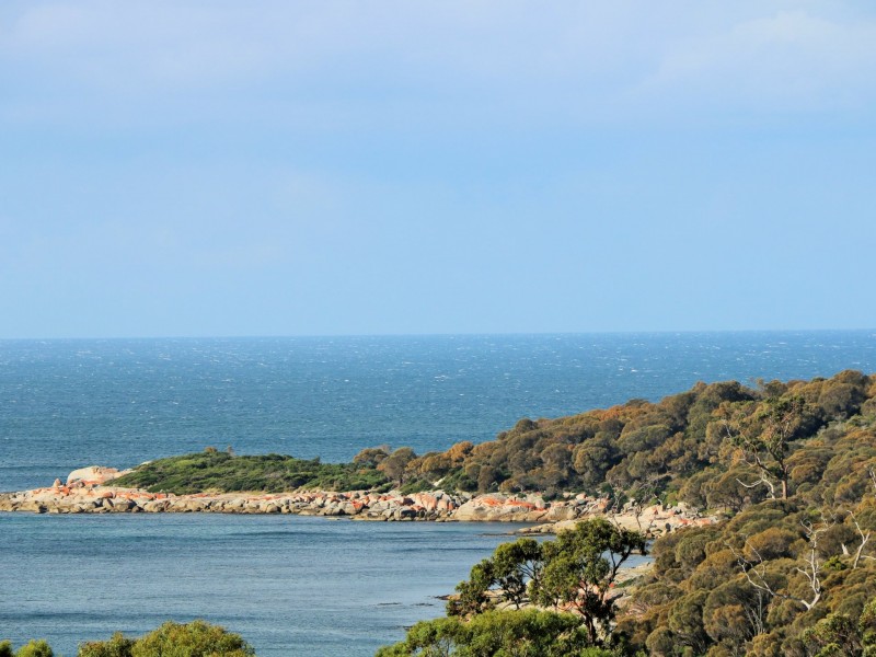 31 Felmingham Street, Binalong Bay TAS 7216