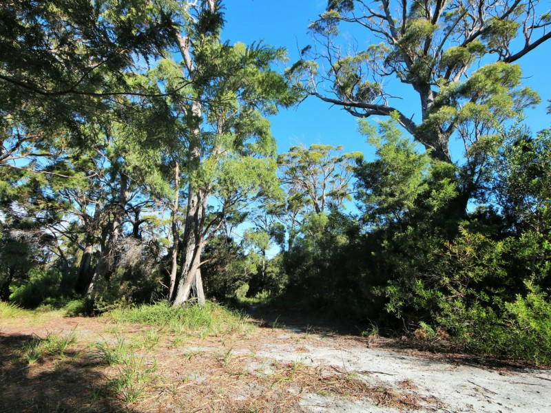 31 Felmingham Street, Binalong Bay TAS 7216