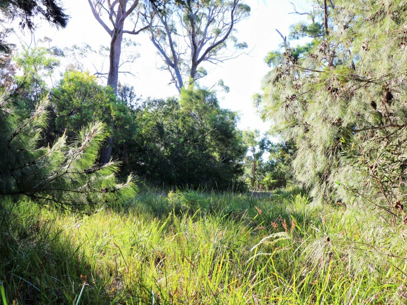 31 Felmingham Street, Binalong Bay TAS 7216