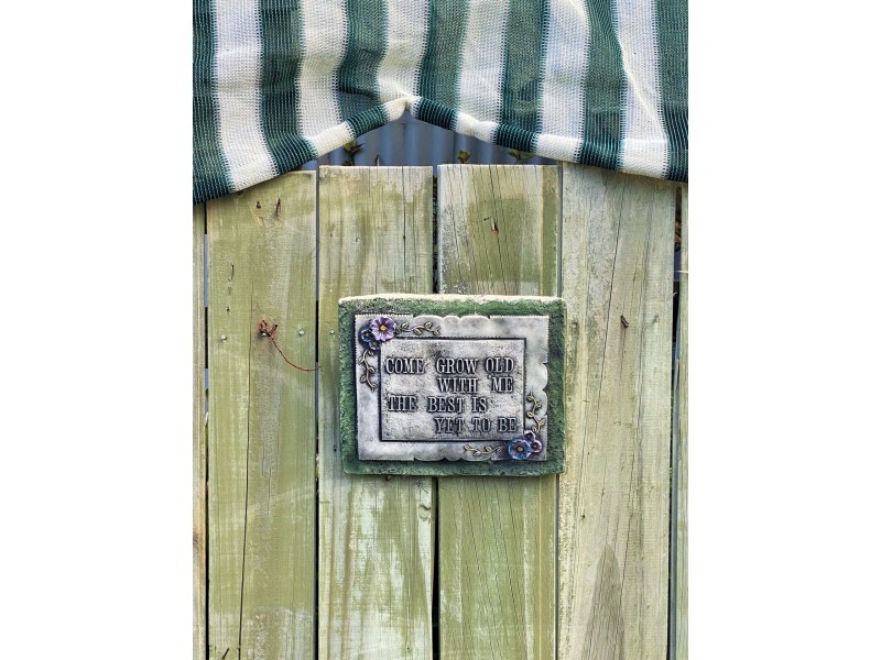 10 Ti-Tree Drive, Ansons Bay TAS 7216