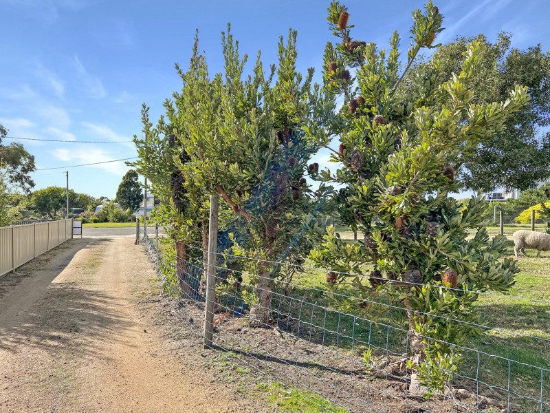 6 Barnett Close, Binalong Bay TAS 7216