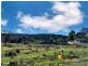 PID 639979 Lennox Street, Cornwall TAS 7215
