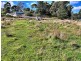 PID 639979 Lennox Street, Cornwall TAS 7215
