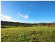 310 Lottah Road, Goulds Country TAS 7216