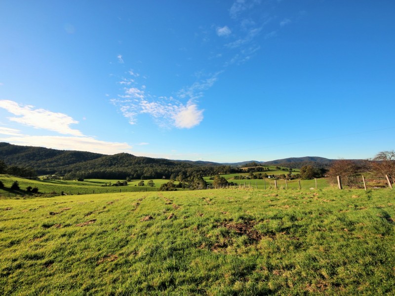310 Lottah Road, Goulds Country TAS 7216