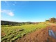 310 Lottah Road, Goulds Country TAS 7216
