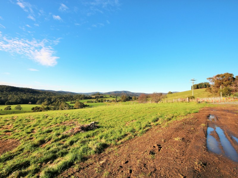 310 Lottah Road, Goulds Country TAS 7216