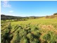310 Lottah Road, Goulds Country TAS 7216