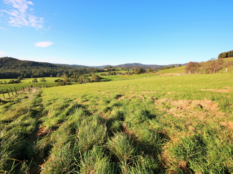 310 Lottah Road, Goulds Country TAS 7216