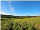 310 Lottah Road, Goulds Country TAS 7216