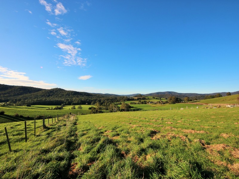310 Lottah Road, Goulds Country TAS 7216