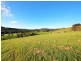 310 Lottah Road, Goulds Country TAS 7216