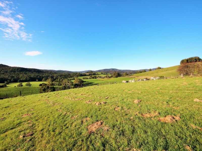 310 Lottah Road, Goulds Country TAS 7216