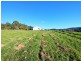 310 Lottah Road, Goulds Country TAS 7216