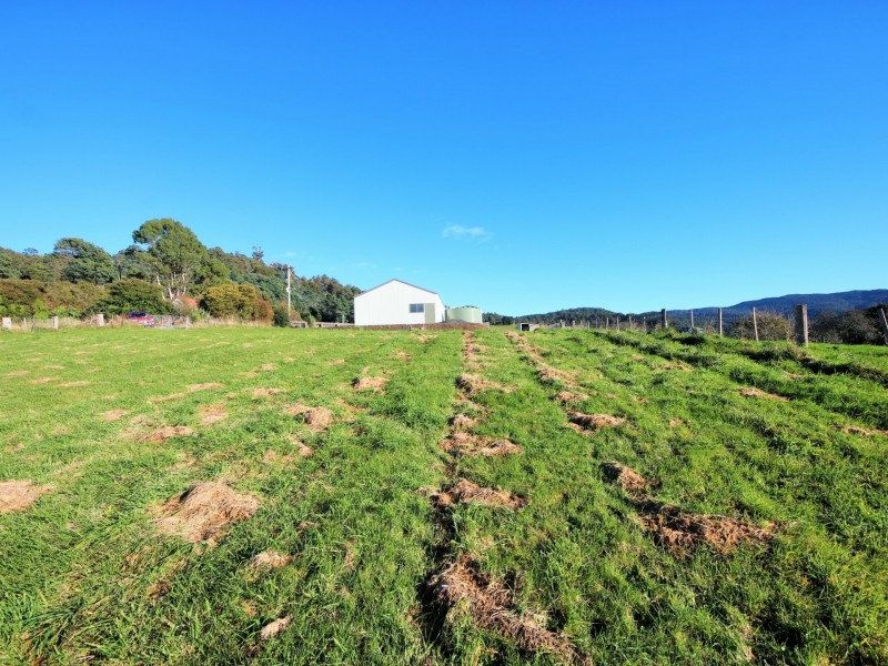 310 Lottah Road, Goulds Country TAS 7216