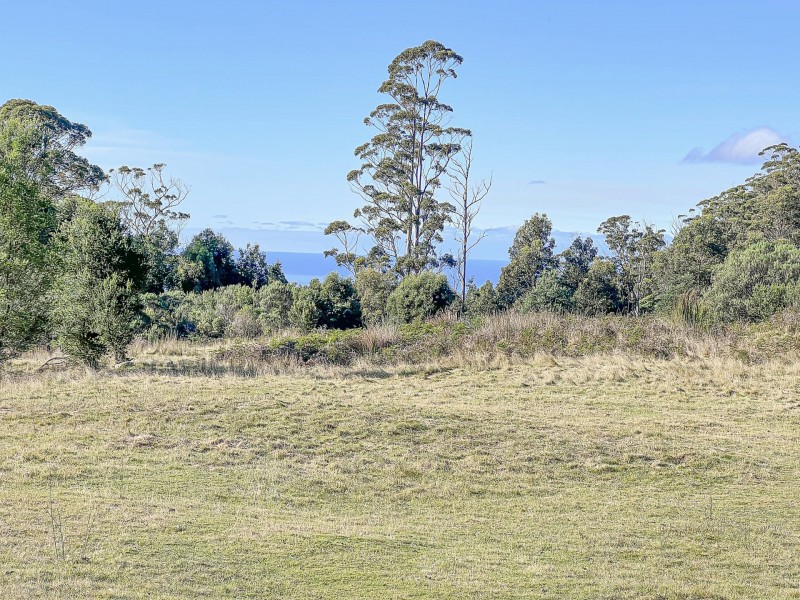 Lot 5 Lower German Town Road, St Marys TAS 7215