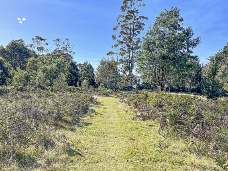 Lot 5 Lower German Town Road, St Marys TAS 7215