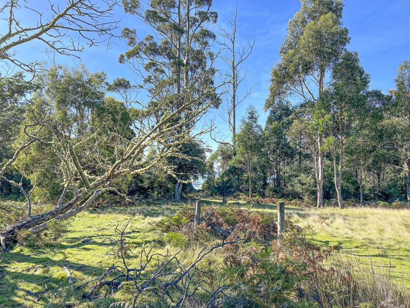 Lot 5 Lower German Town Road, St Marys TAS 7215