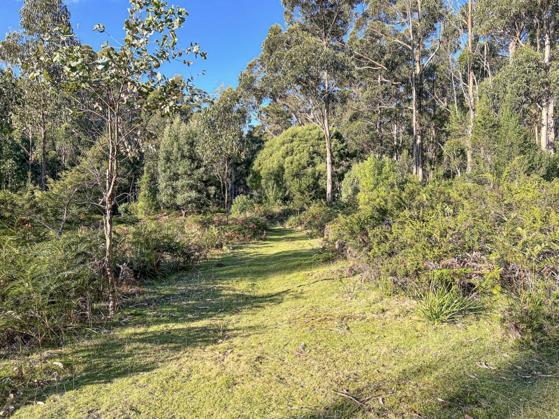 Lot 5 Lower German Town Road, St Marys TAS 7215