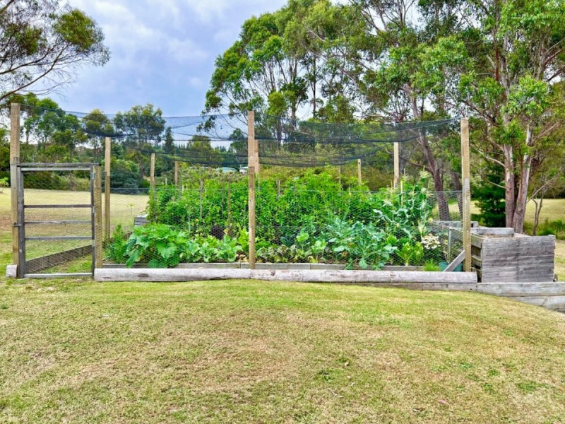235 Ansons Bay Road, St Helens TAS 7216
