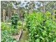 235 Ansons Bay Road, St Helens TAS 7216