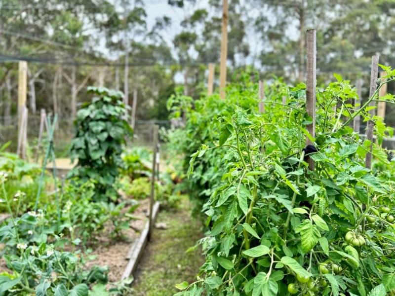 235 Ansons Bay Road, St Helens TAS 7216